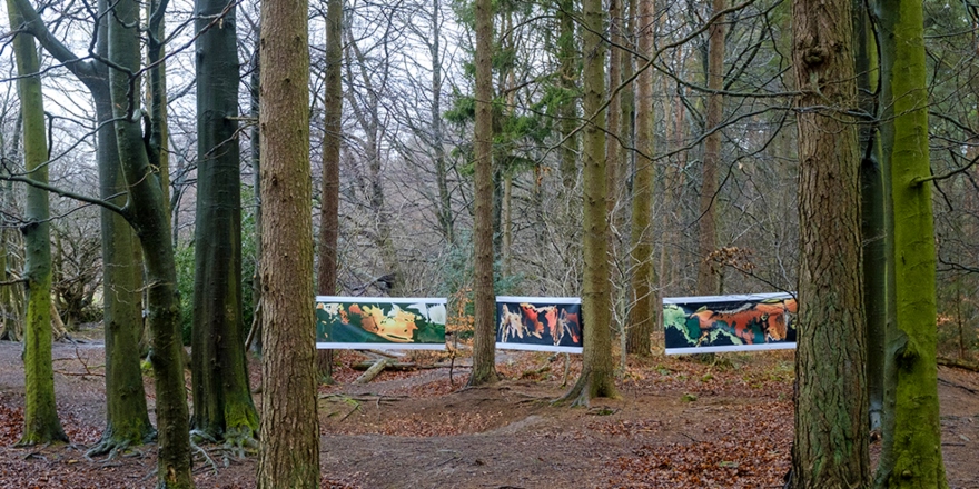 Trees in Dalby Forest with photographic banners of flowers